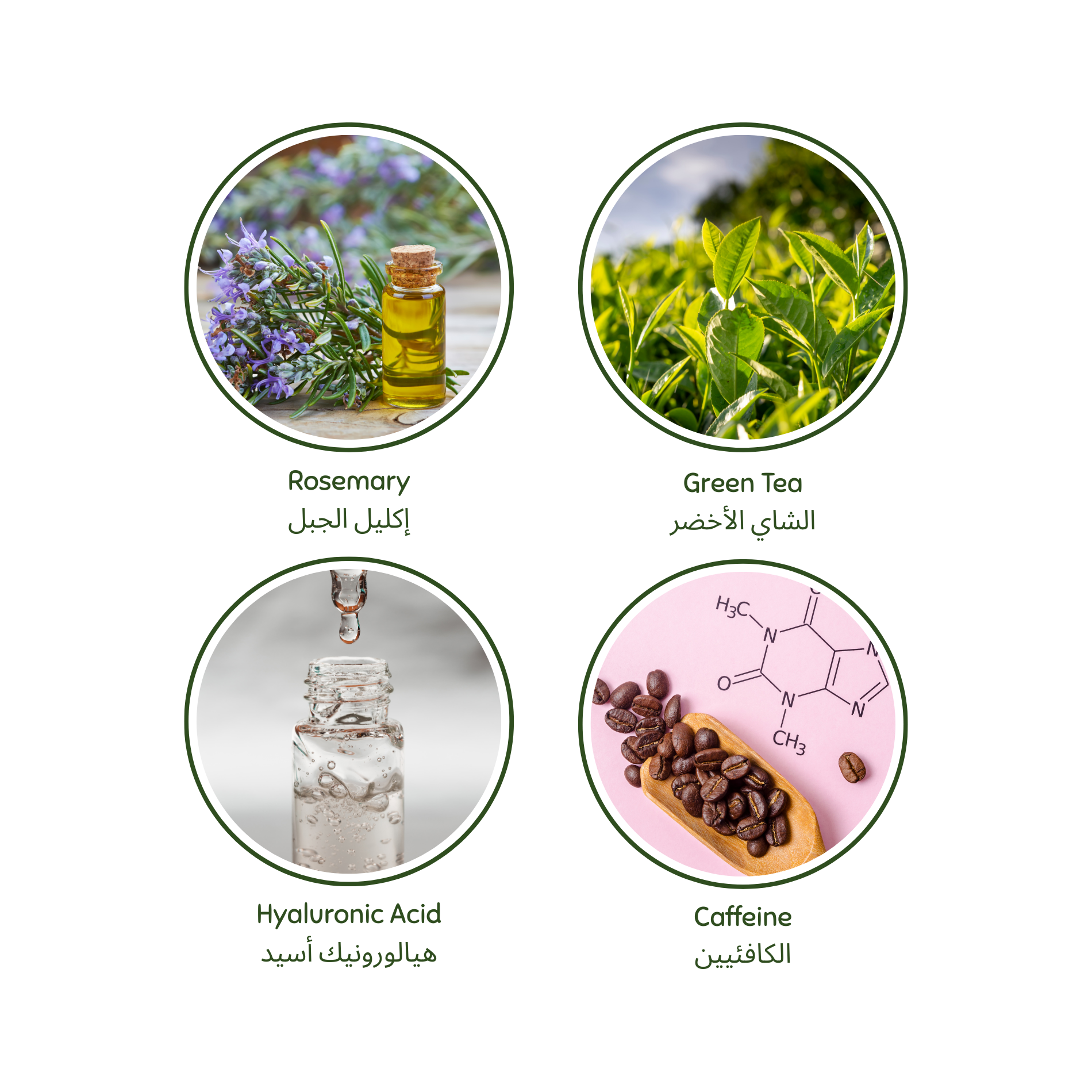 Four circular icons with images and names of rosemary, green tea, hyaluronic acid, and caffeine. Luminneal5 detangling hair  ingredients