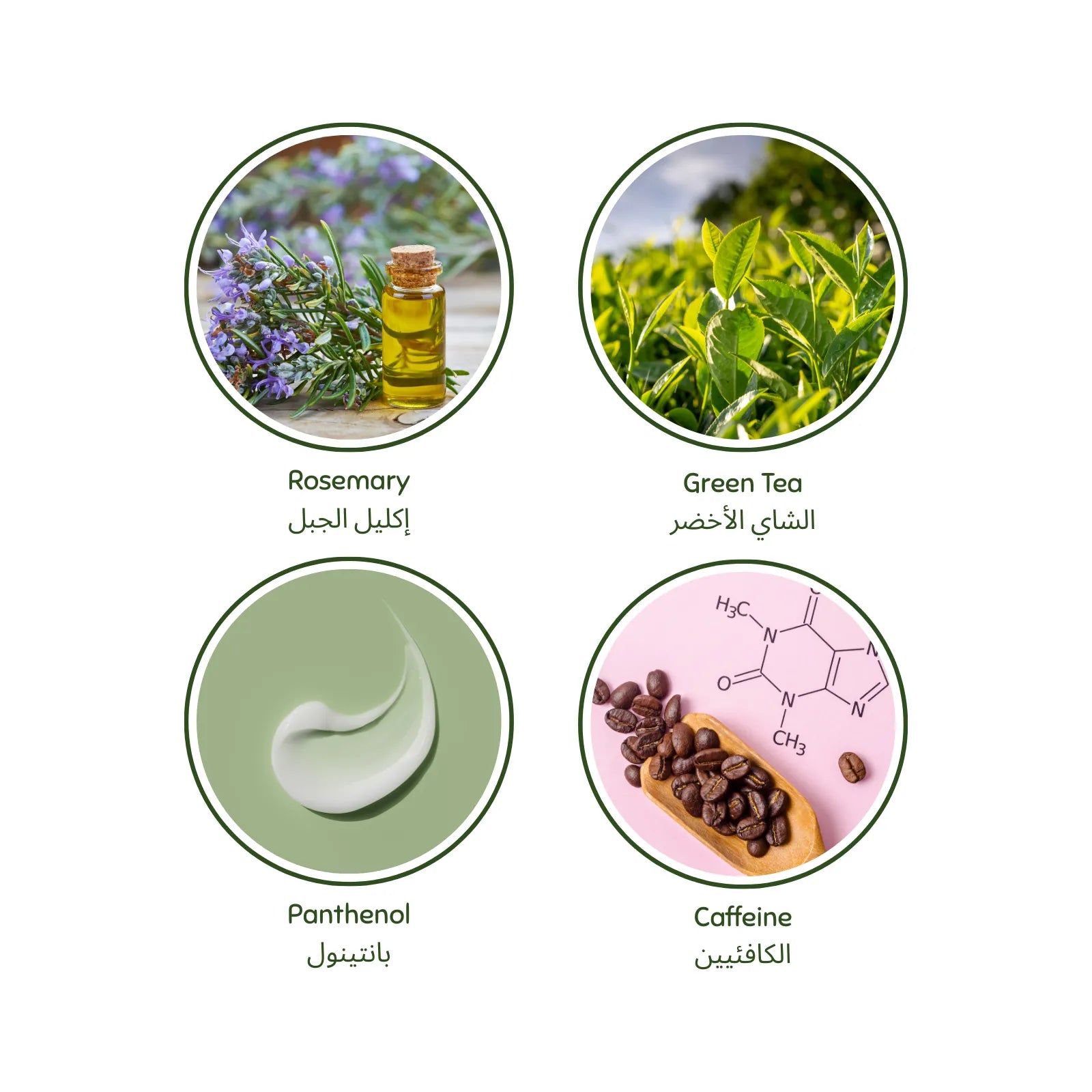 Four circular icons representing Rosemary, Green Tea, Panthenol, and Caffeine with corresponding images and text. Luminneal5 soak shampoo Luminneal5 Soak Shampoo Hair-Tonic vpwvuf-su.myshopify.com